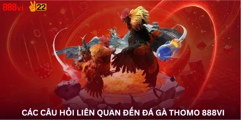 Các câu hỏi liên quan đến Đá Gà Thomo 888Vi