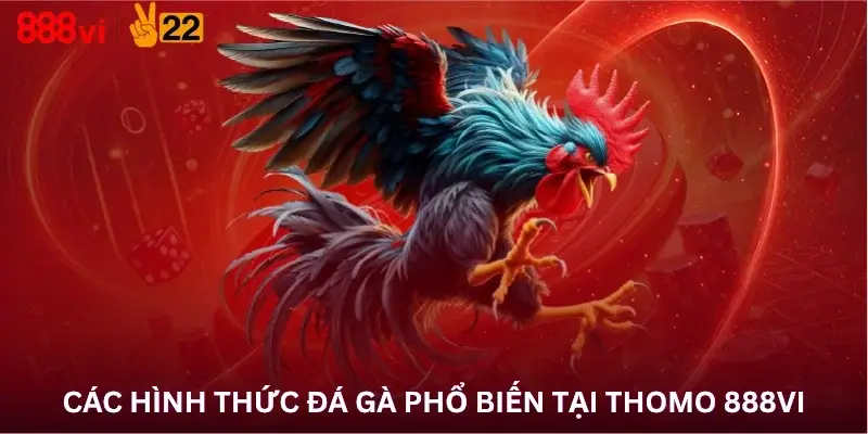 Các hình thức đá gà phổ biến tại Thomo 888Vi