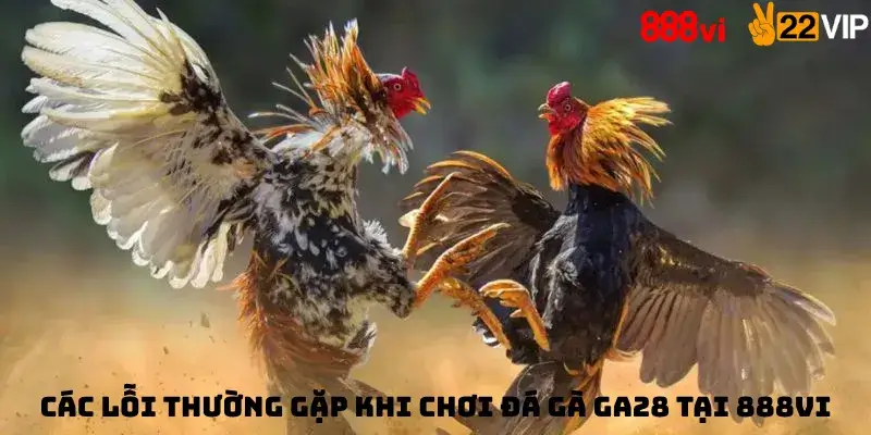 Các lỗi thường gặp khi chơi Đá gà GA28 tại 888vi